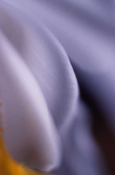  -2
---------
 (  ,      )