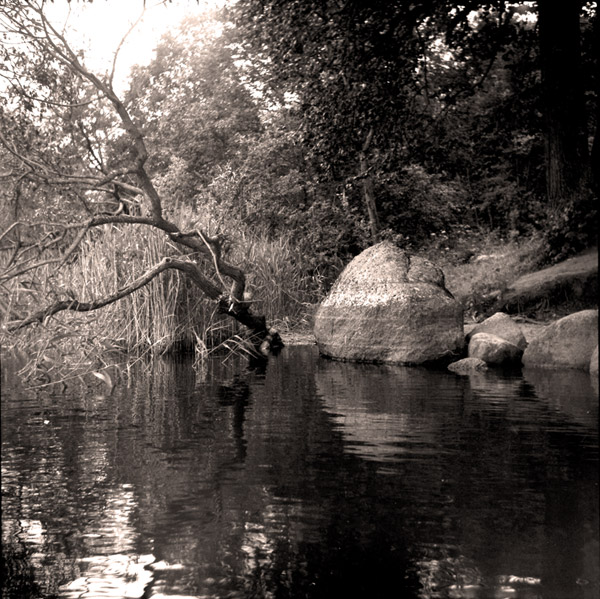 ***
---------
 (  ,      )