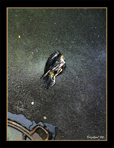 " "
---------
 (  ,      )