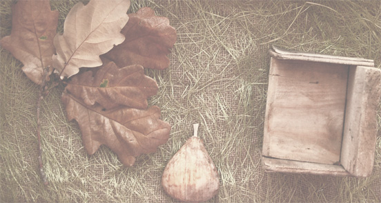 �����. ��������-�������� �2
---------
 (�������� �� �����������, ����� ������� ��� � ������ �����)