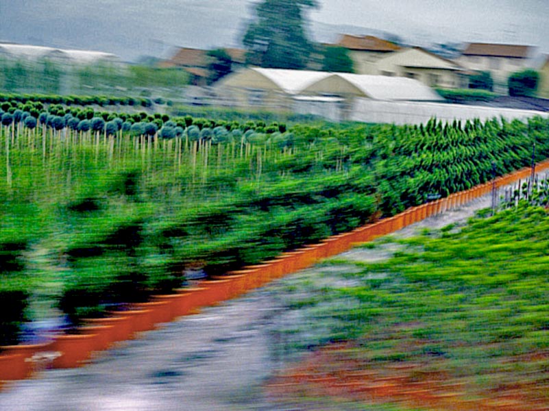 ����������� ���� ������� ������
---------
 (�������� �� �����������, ����� ������� ��� � ������ �����)