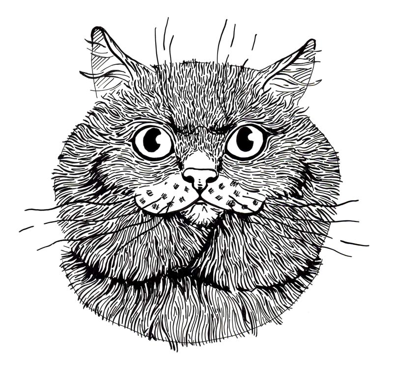 
---------
 (  ,      )