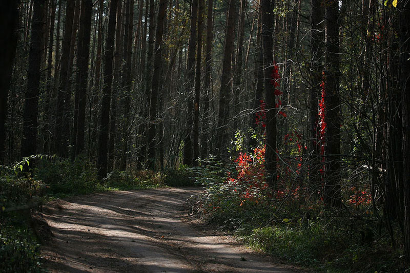 �������� ������ �����
---------
 (�������� �� �����������, ����� ������� ��� � ������ �����)