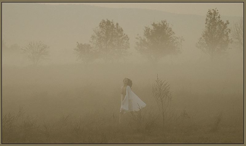 In the foggy Morning...........
---------
 (  ,      )