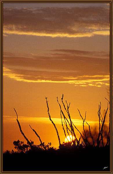    ,        
---------
 (  ,      )