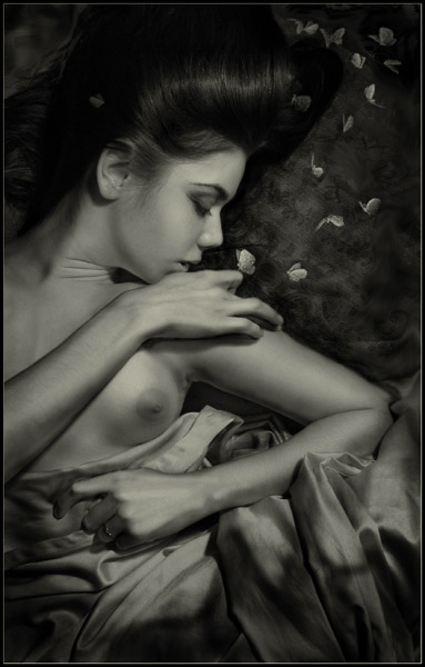 Nocturne for butterflys
---------
 (  ,      )