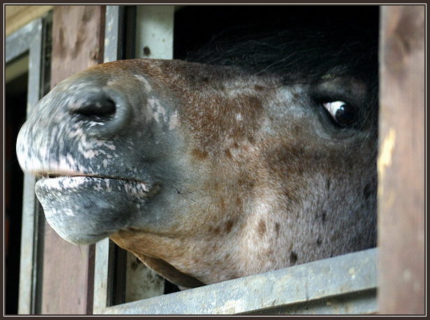 
---------
 (  ,      )