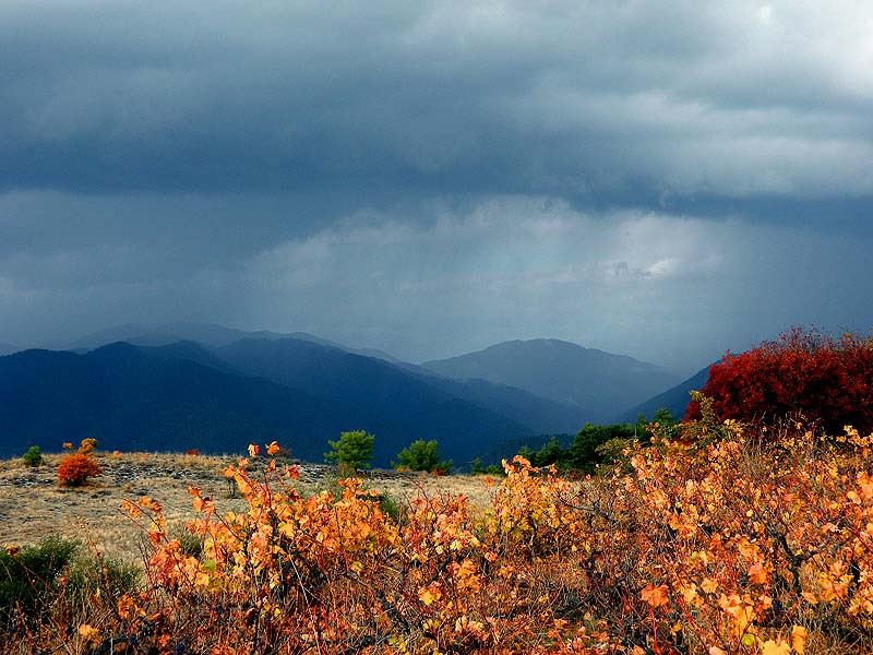       
---------
 (  ,      )