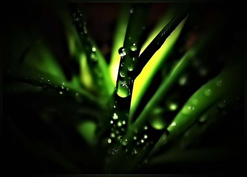 Crystal
---------
 (  ,      )