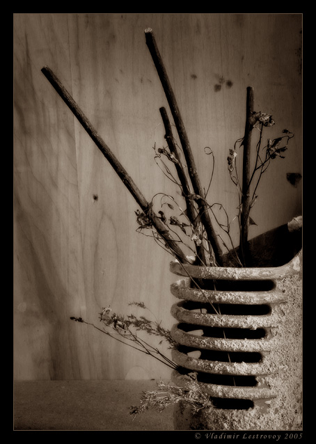 Monochrome morning
---------
 (�������� �� �����������, ����� ������� ��� � ������ �����)