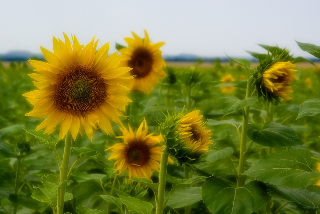 
---------
 (  ,      )