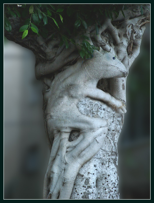  
---------
 (  ,      )