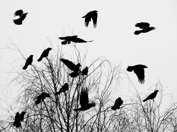 
---------
 (  ,      )