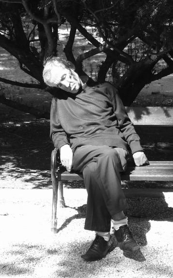 The dreamer
---------
 (  ,      )