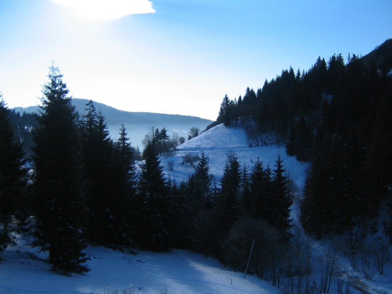 Carpathians
---------
 (  ,      )