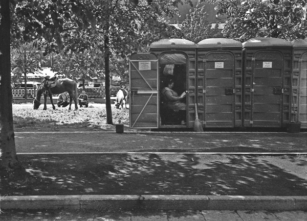   :    
---------
 (  ,      )