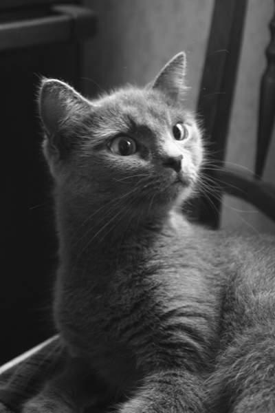 � ��� �� ������� �������!
---------
 (�������� �� �����������, ����� ������� ��� � ������ �����)