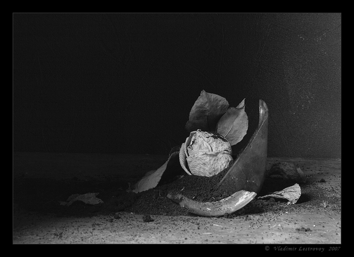 
---------
 (  ,      )