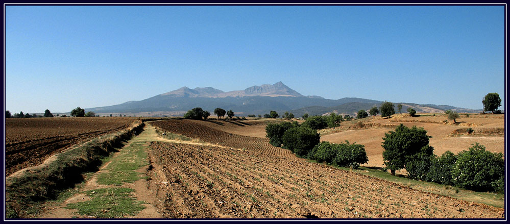  A. 
---------
 (  ,      )