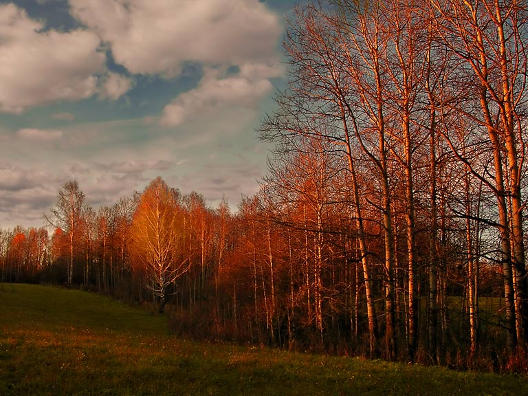 DSCN4071
---------
 (кликните по изображению, чтобы открыть его в полный экран)