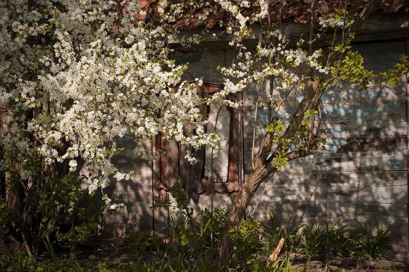 ����������
---------
 (�������� �� �����������, ����� ������� ��� � ������ �����)