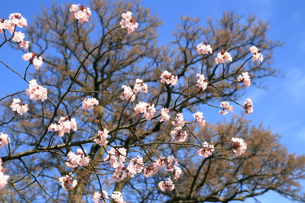 ����� ��� �����!
---------
 (�������� �� �����������, ����� ������� ��� � ������ �����)