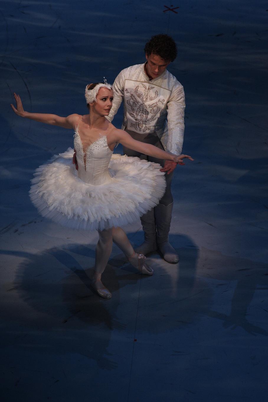 SWAN LAKE
---------
 (  ,      )