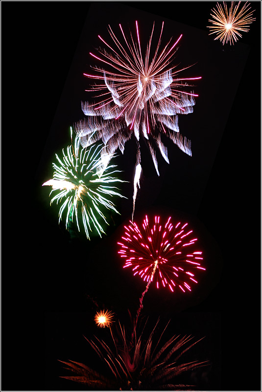 Fireworks flowers
---------
 (  ,      )