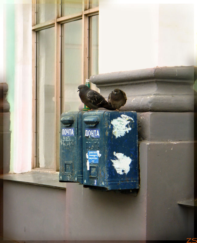   
---------
 (  ,      )