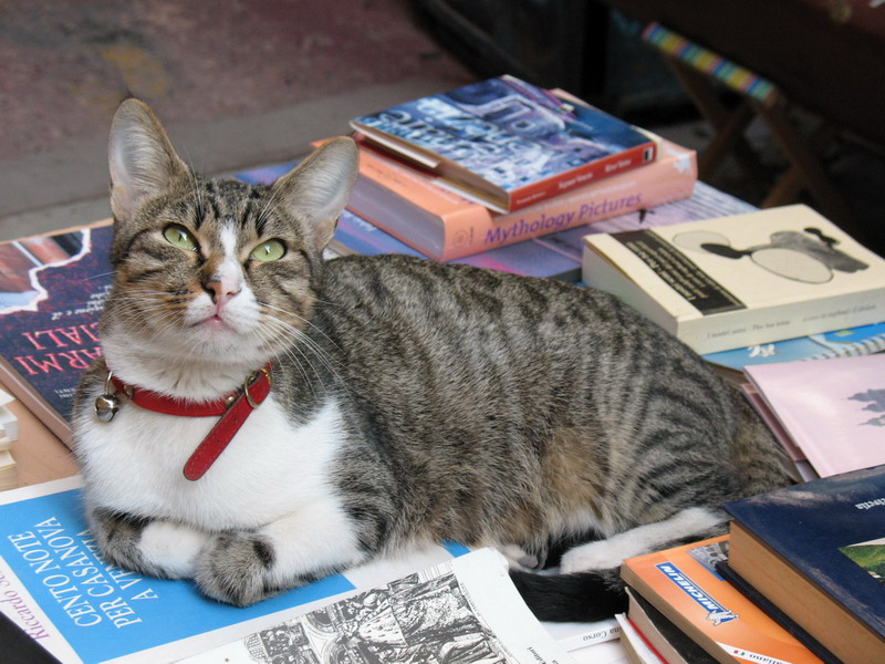 �� ����� "�����" (�������, 2007 �.)
---------
 (�������� �� �����������, ����� ������� ��� � ������ �����)