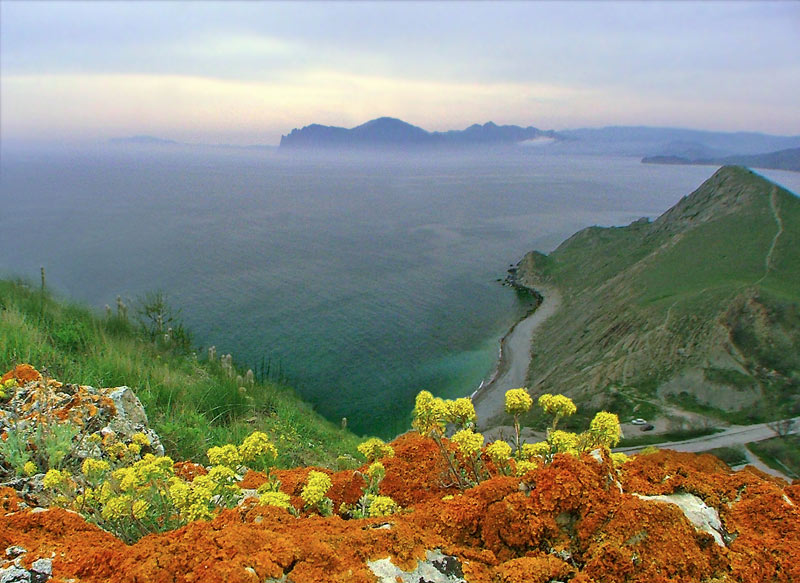     
---------
 (  ,      )