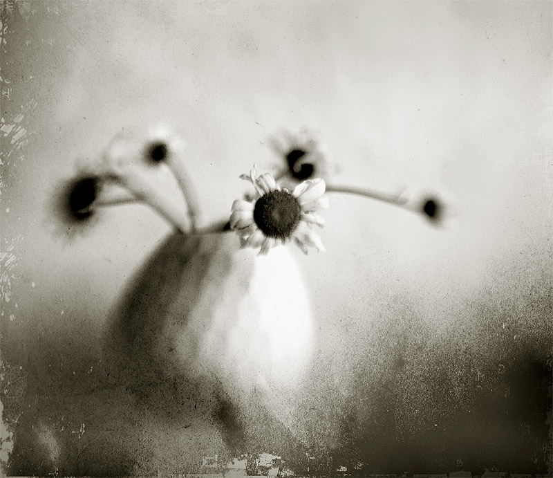 ...
---------
 (  ,      )