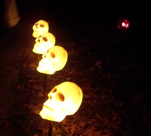 The Crystal Skull
---------
 (  ,      )