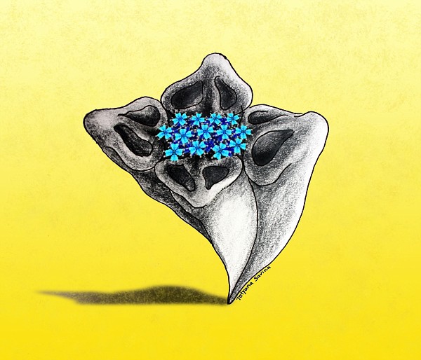 �����
---------
 (�������� �� �����������, ����� ������� ��� � ������ �����)