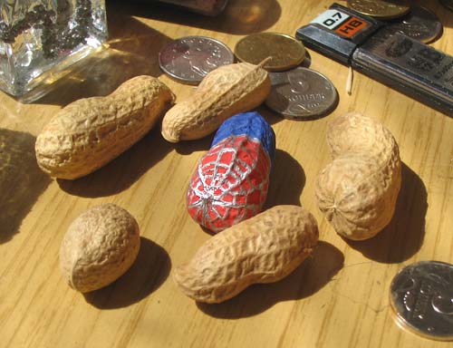 Spidernut
---------
 (  ,      )