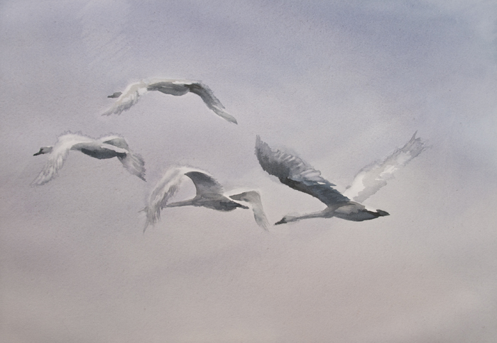  I
---------
 (  ,      )