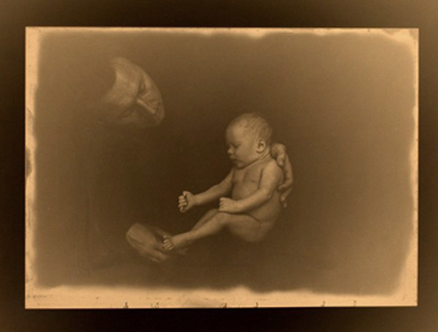  ""2008-2009.
---------
 (  ,      )