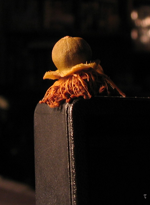 -   
---------
 (  ,      )