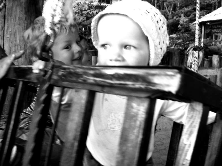 ������
---------
 (�������� �� �����������, ����� ������� ��� � ������ �����)