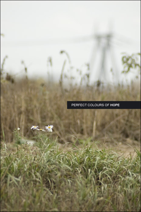 Perfect Colours of Hope (4)
---------
 (  ,      )