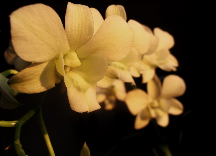 ��������� � ����� ������
---------
 (�������� �� �����������, ����� ������� ��� � ������ �����)