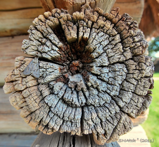 
---------
 (  ,      )