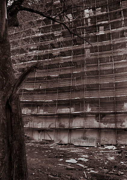 wood
---------
 (  ,      )