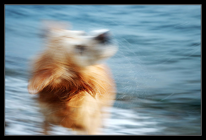 ������, ��������� �� ����
---------
 (�������� �� �����������, ����� ������� ��� � ������ �����)