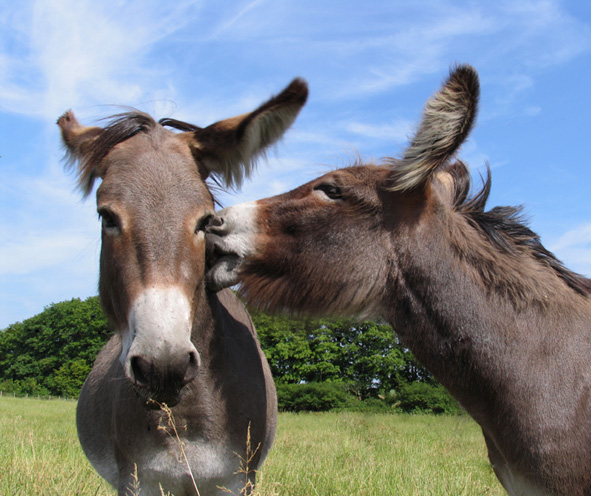 
---------
 (  ,      )