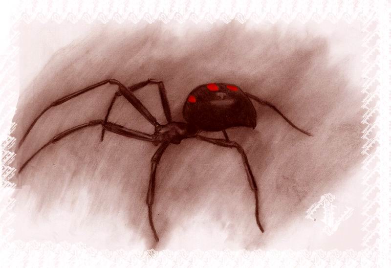   ( )
---------
 (  ,      )