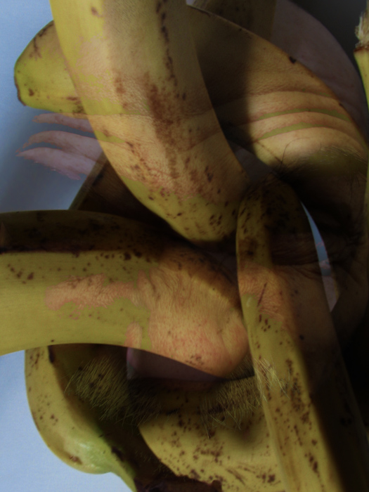 ������ ������
---------
 (�������� �� �����������, ����� ������� ��� � ������ �����)