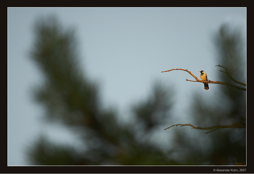 
---------
 (  ,      )