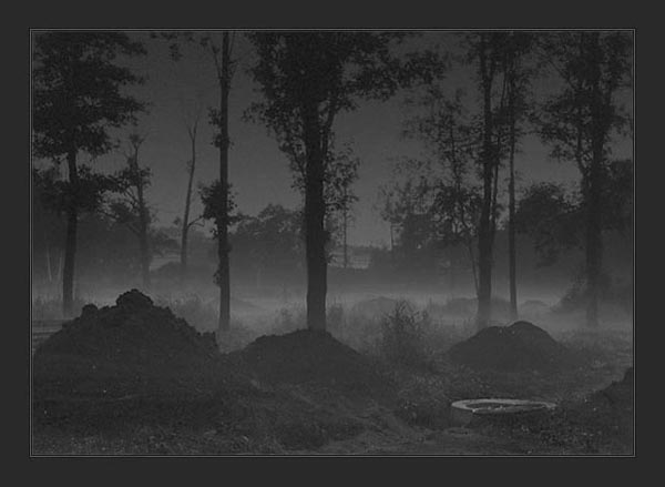 ночной туман в Таврическом саду
---------
 (кликните по изображению, чтобы открыть его в полный экран)