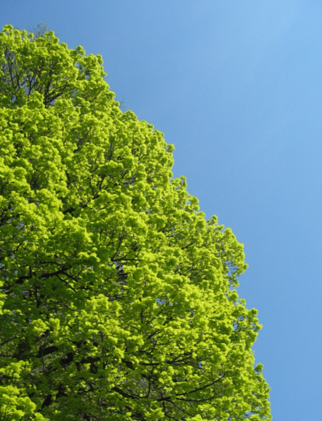 life
---------
 (�������� �� �����������, ����� ������� ��� � ������ �����)